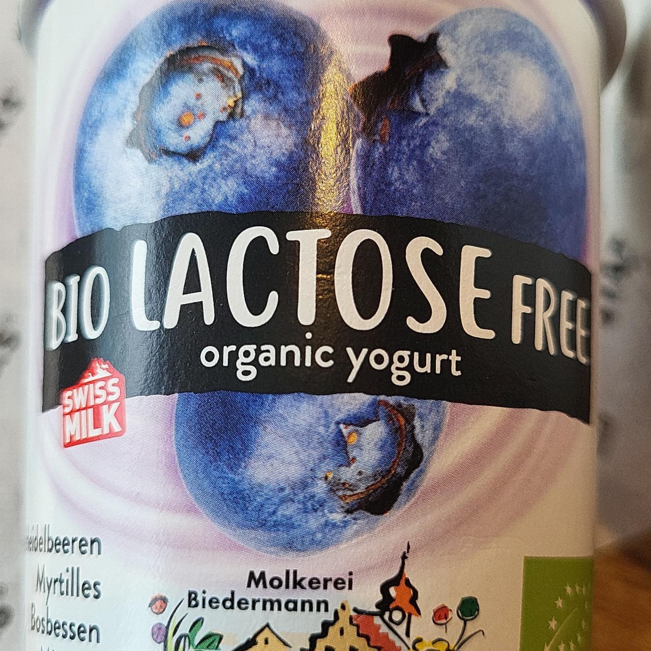 Fotografie - Bio lactose free organic yogurt myrtilles Molkerei Biedermann