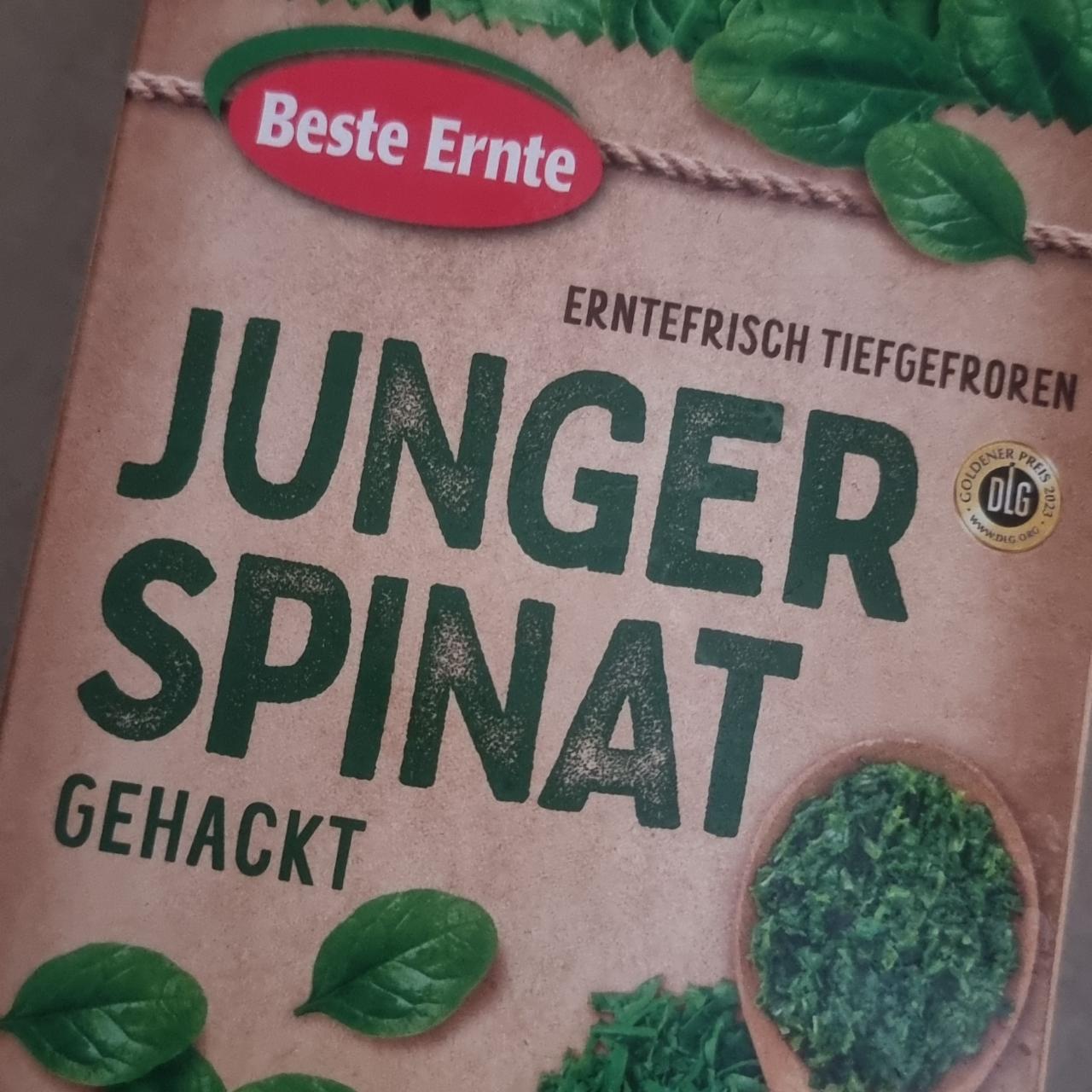 Fotografie - Junger spinat Beste Ernte