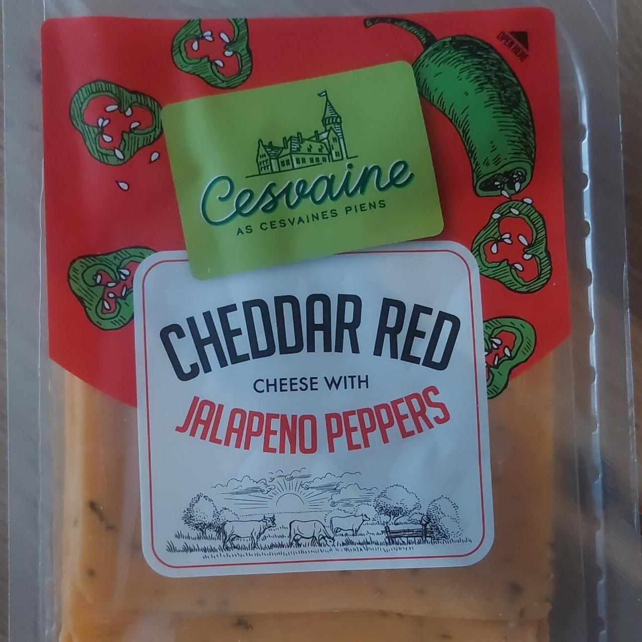 Fotografie - Cheddar red cheese with jalapeno peppers Cesvaine