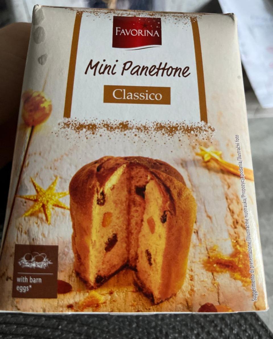 Fotografie - Mini panettone classico Favorina