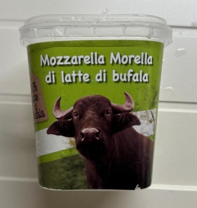 Fotografie - Mozzarella morella di latte di bufala