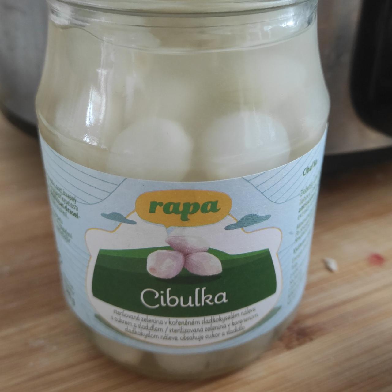 Fotografie - Cibulka Rapa