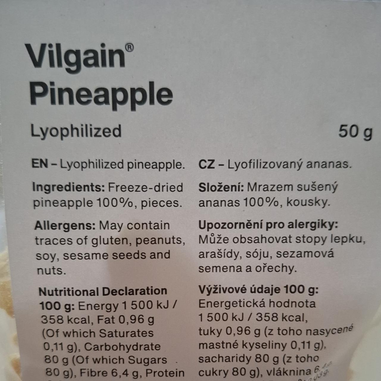 Fotografie - Pineapple lyophilized Vilgain