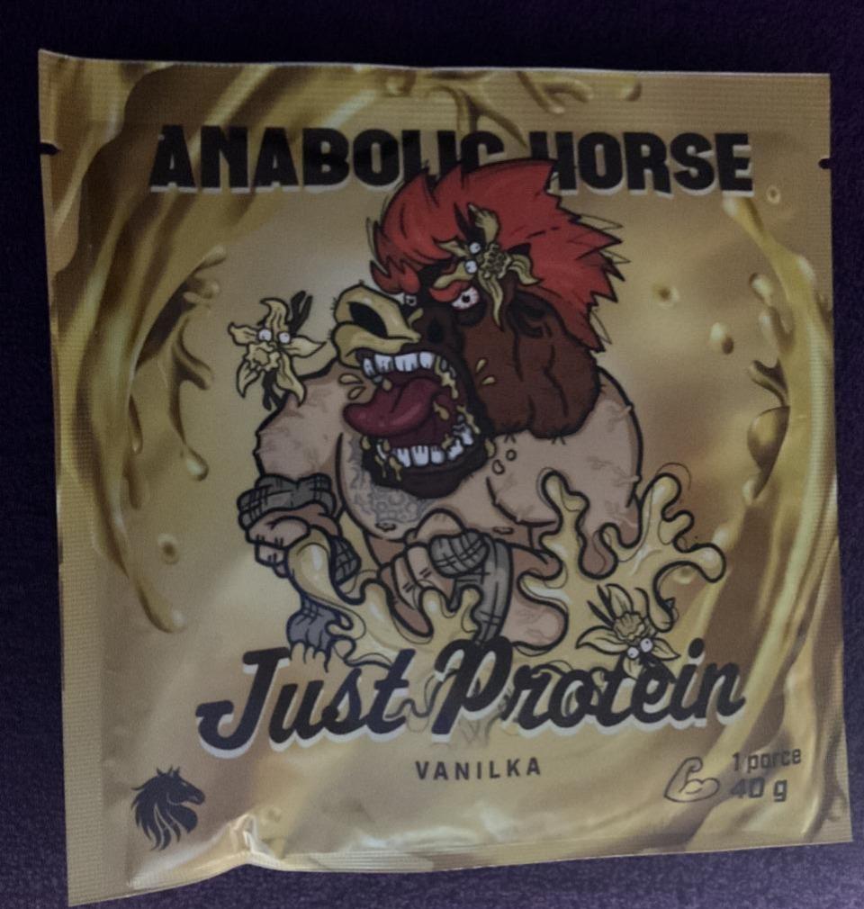 Fotografie - Just protein vanilka Anabolic Horse