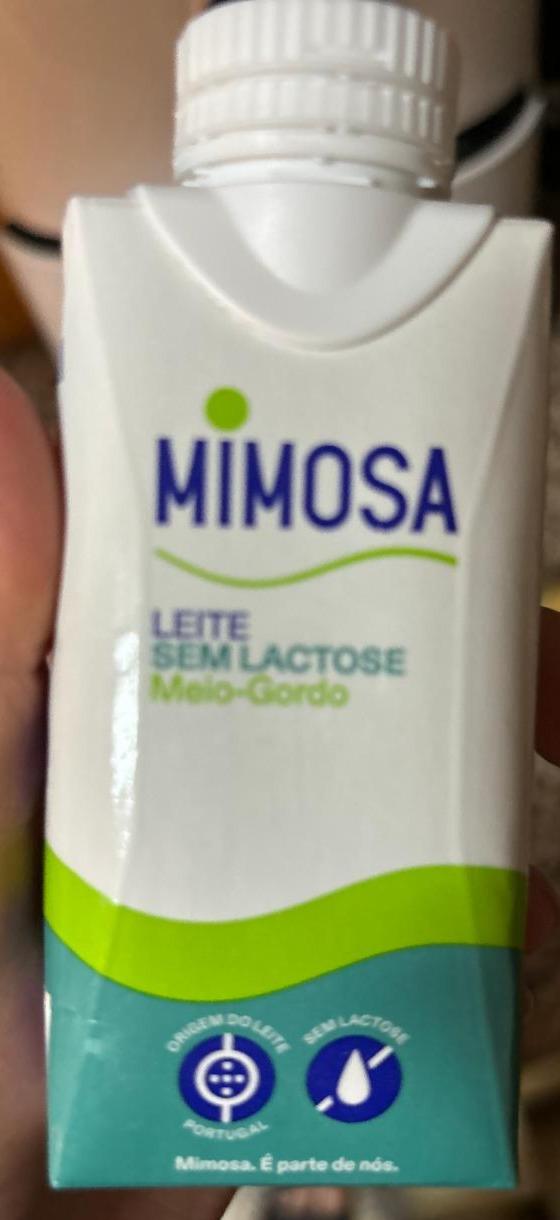 Fotografie - Leite sem lactose meio-gordo Mimosa