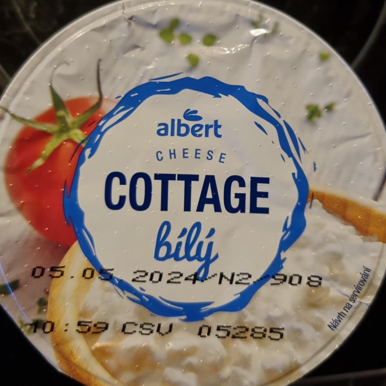 Fotografie - Cottage cheese bílý Albert