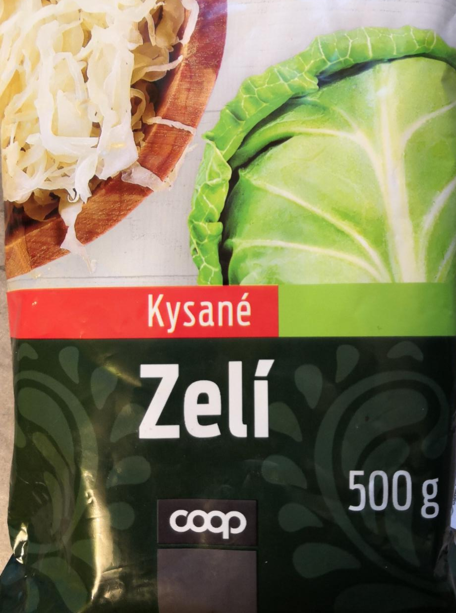 Fotografie - Kysané zelí Dle Gusta