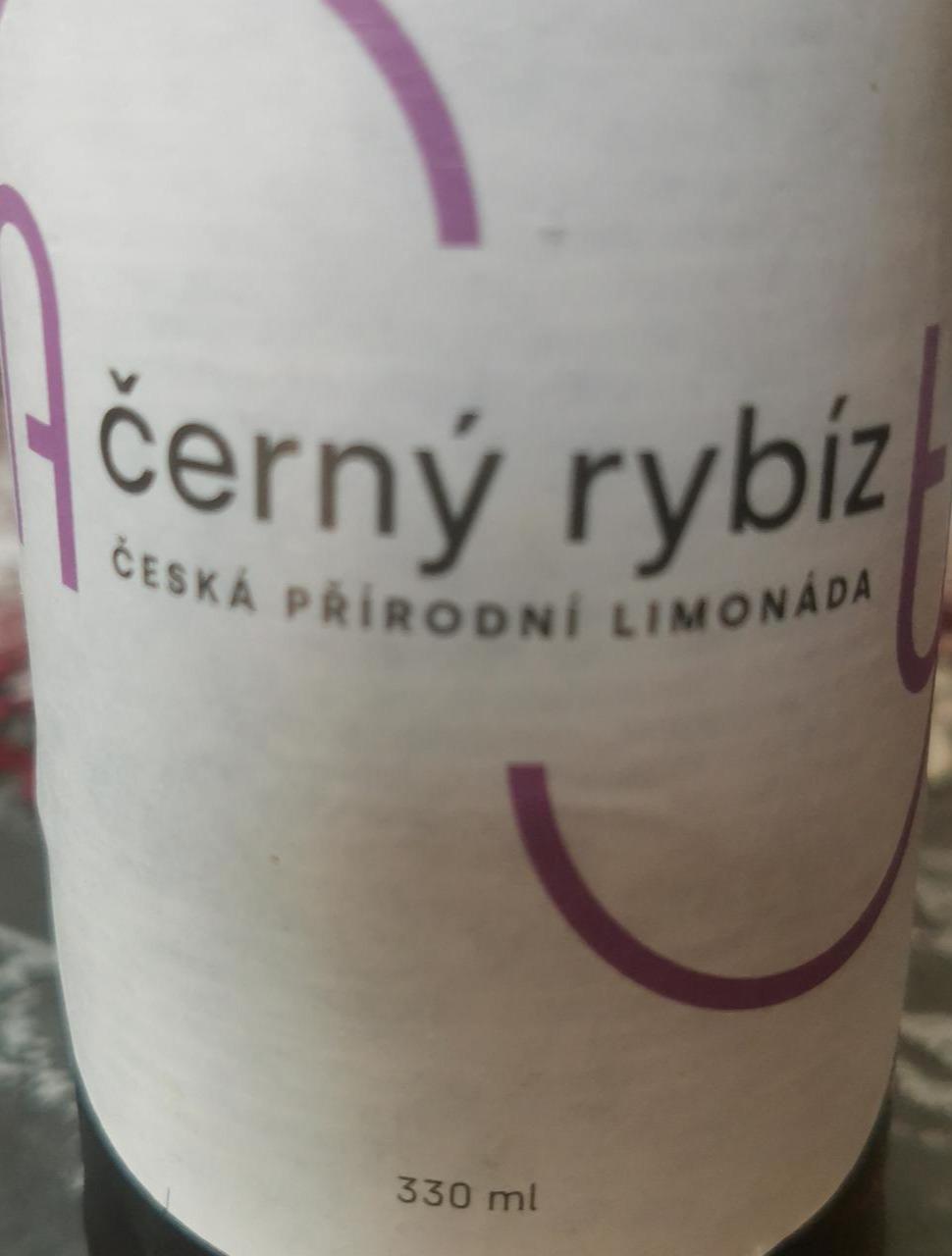 Fotografie - Černý rybíz přírodní limonáda Amity