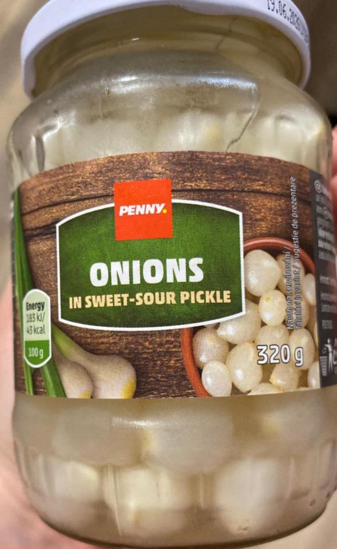 Fotografie - Onions in swet sour pickle Penny