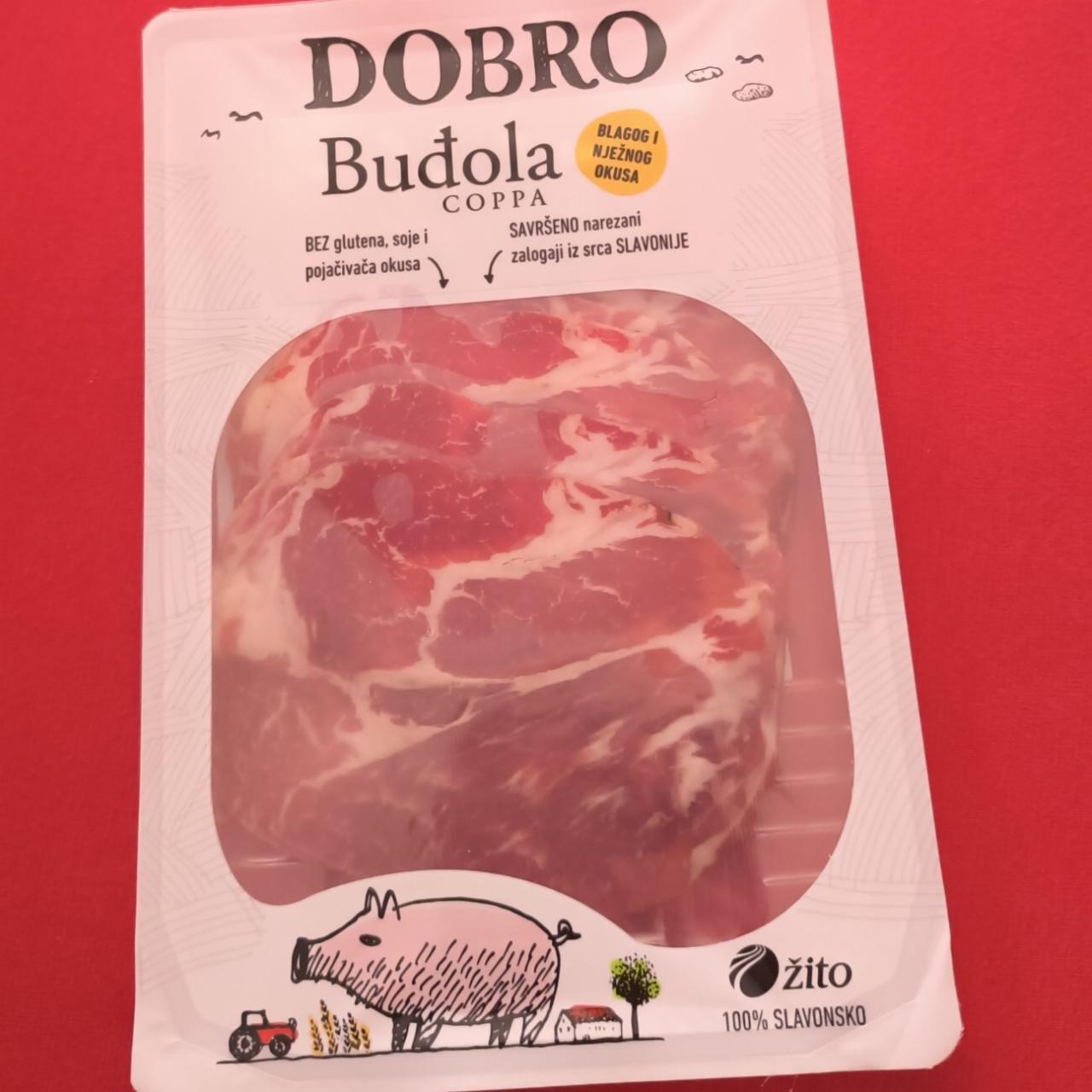 Fotografie - Dobro budola Coppa