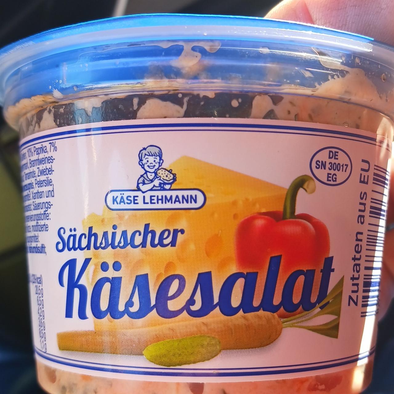 Fotografie - Sächsische käsesalat Käse Lehmann