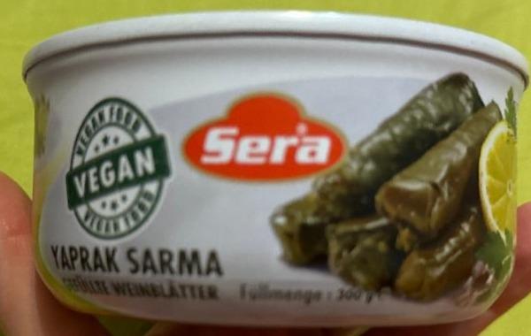 Fotografie - Yaprak sarma stuffed grape leaves Sera