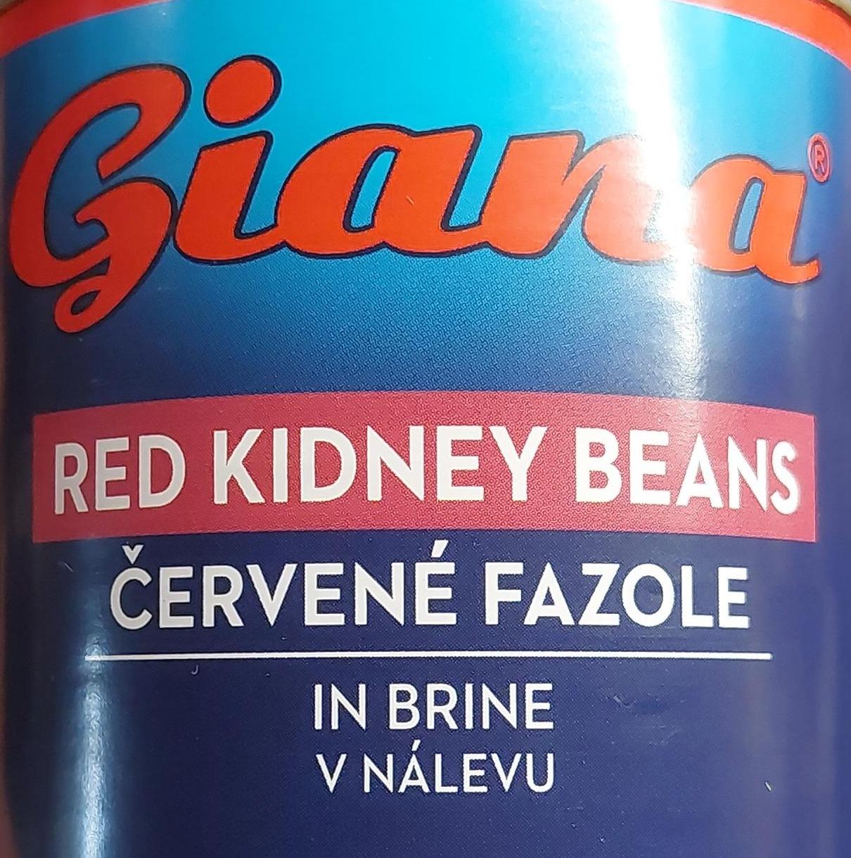 Fotografie - Red kidney beans in brine Giana