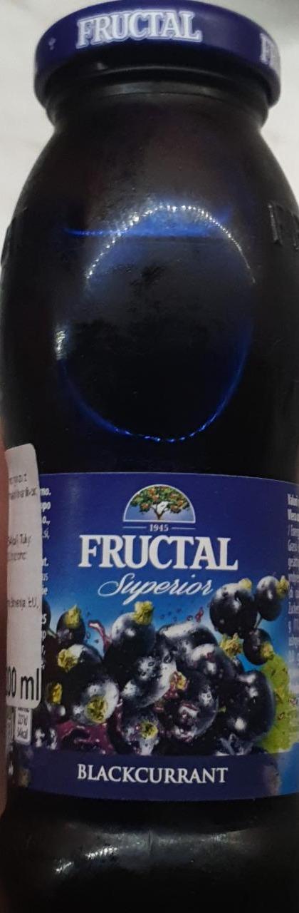 Fotografie - Superior blackcurrant Fructal