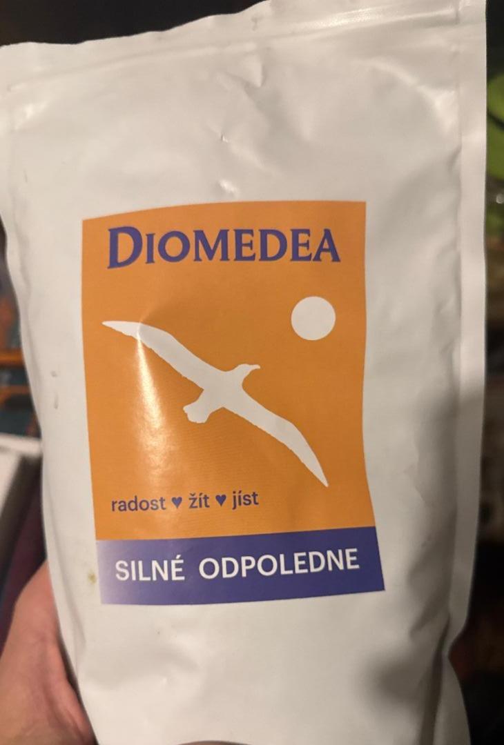 Fotografie - Silné odpoledne DIOMEDEA