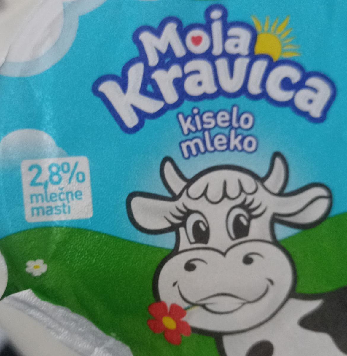 Fotografie - Moja kravica kiselo mleko Imlek