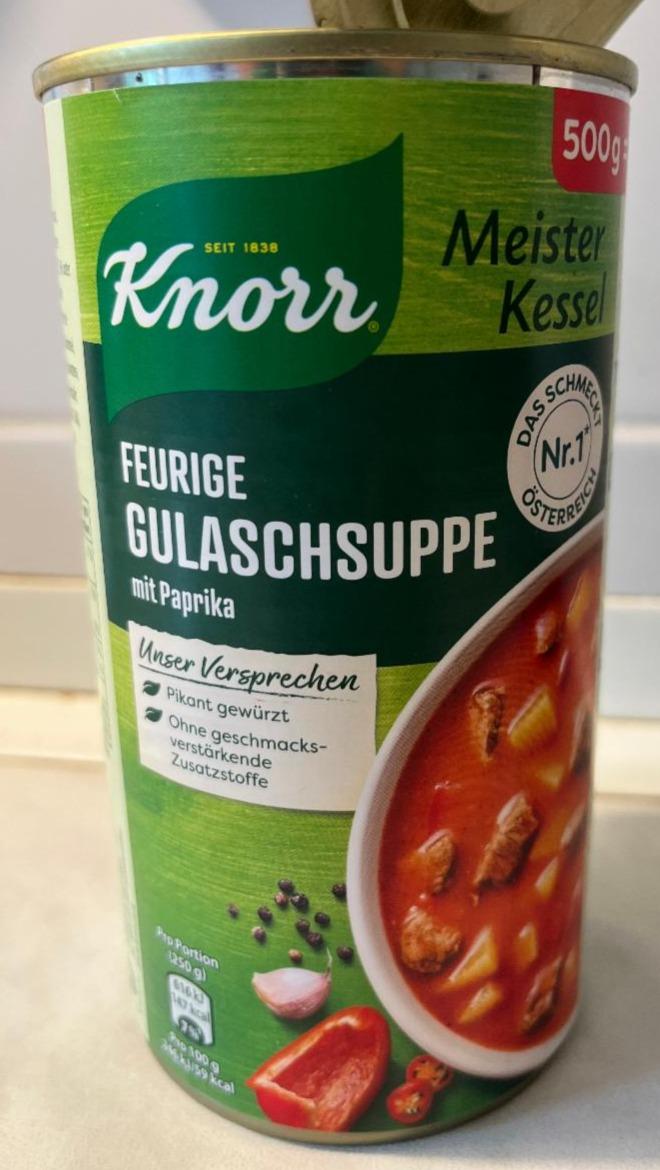 Fotografie - Feurige gulaschsuppe mit paprika Knorr