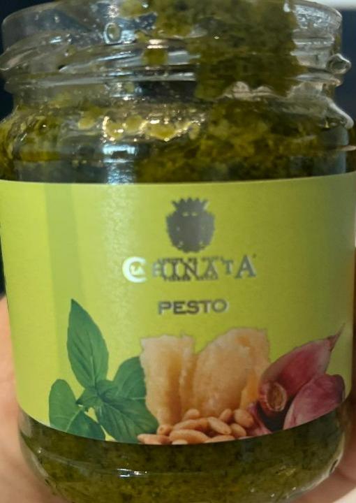 Fotografie - pesto