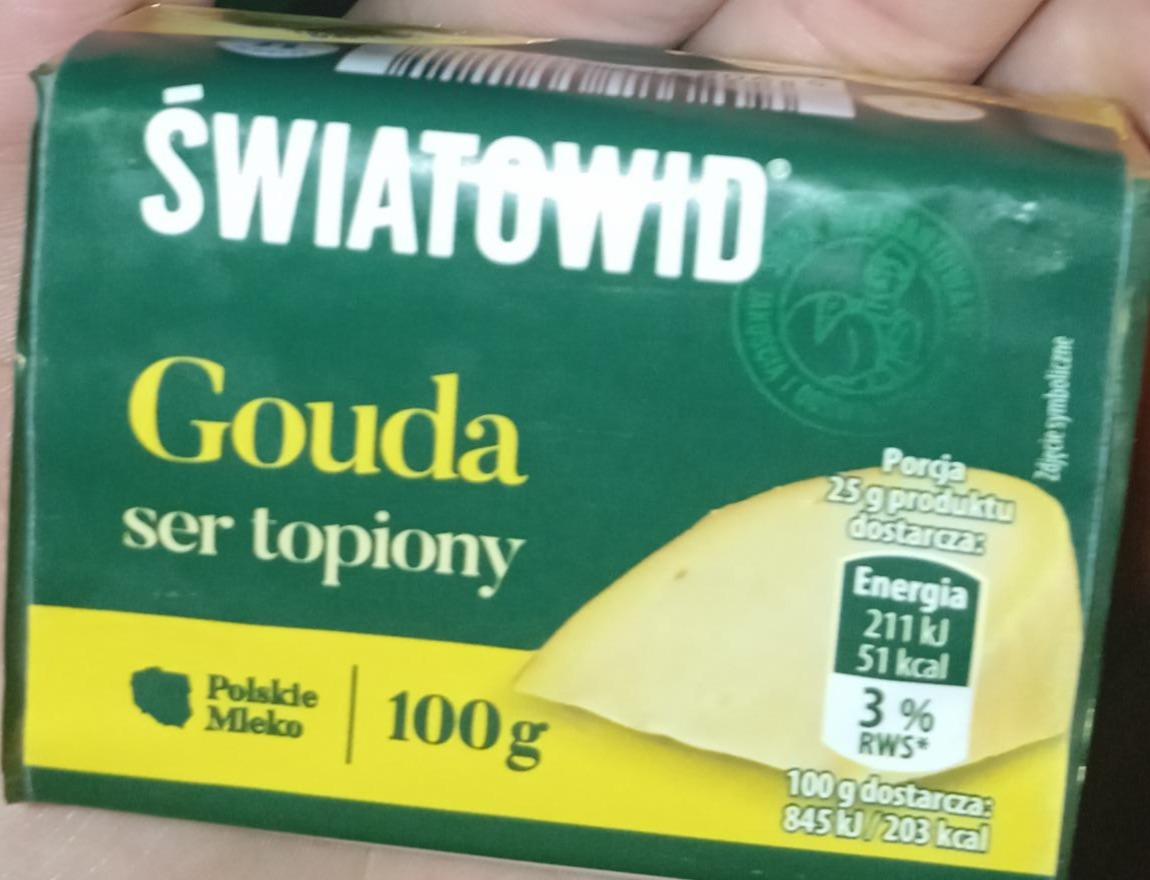 Fotografie - Gouda ser topiony Światowid