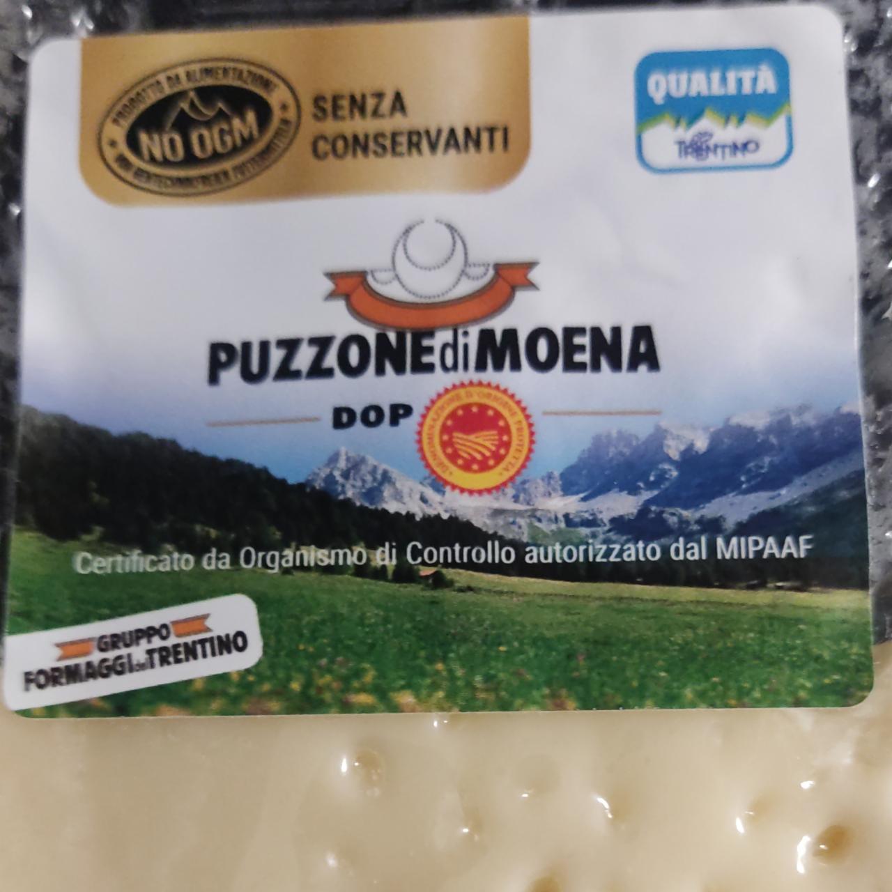 Fotografie - Formaggio puzzone di Moena Gruppo Formaggi Trentino