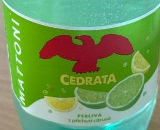 Fotografie - Cedrata s příchutí citrusů perlivá Mattoni