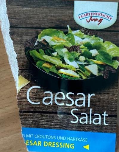 Fotografie - Caesar salat Gartenfrisch