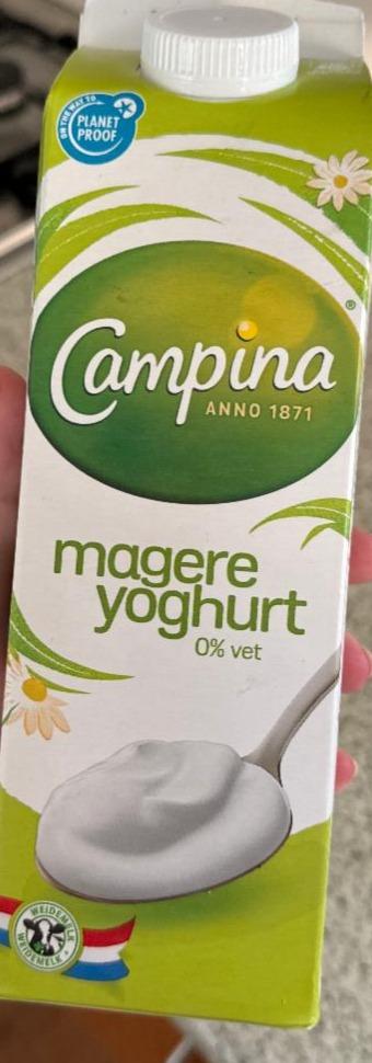 Fotografie - Magere yoghurt 0% vet Campina