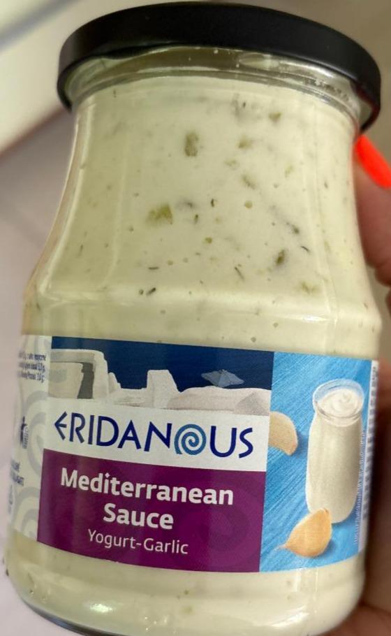 Fotografie - Mediterranean sauce yogurt-garlic Eridanous