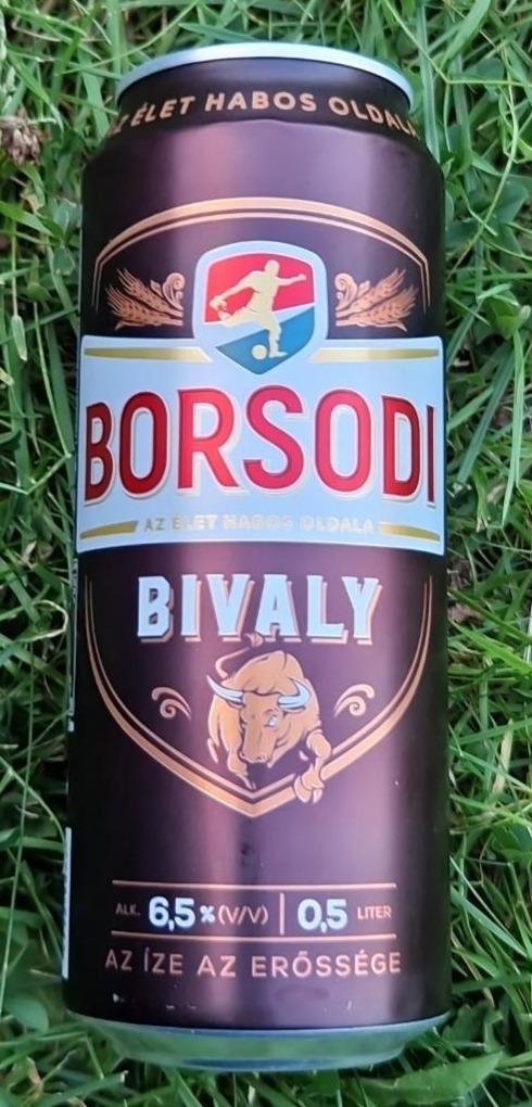 Fotografie - Bivaly Borsodi