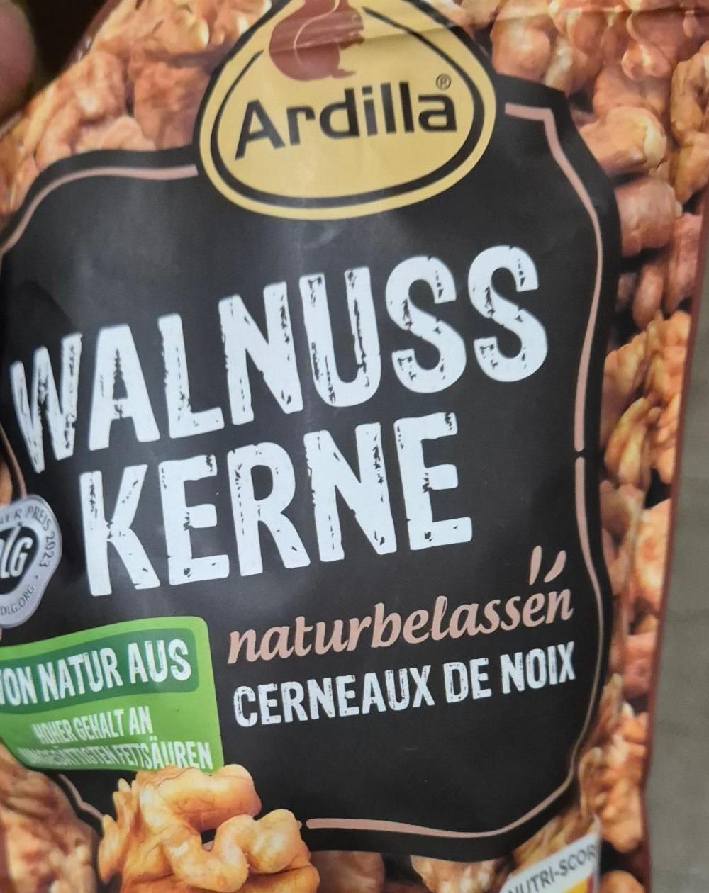 Fotografie - Walnuss kerne Ardilla