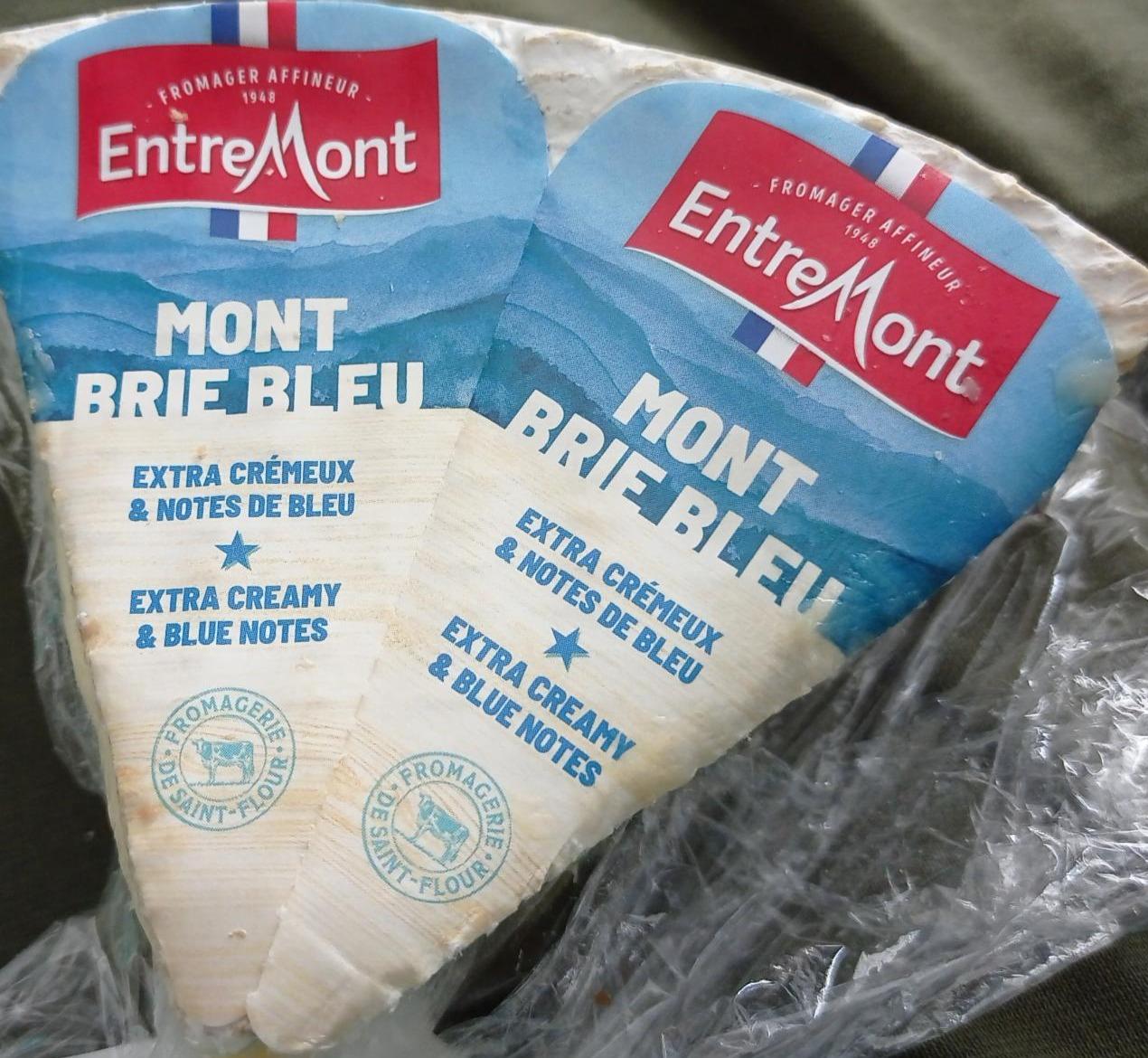 Fotografie - Brie bleu EntreMont