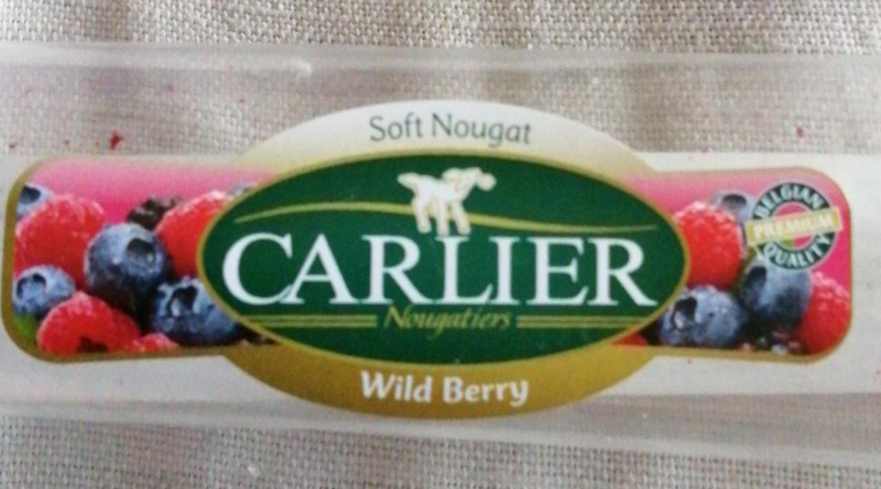 Fotografie - Soft nougat wild berry Carlier