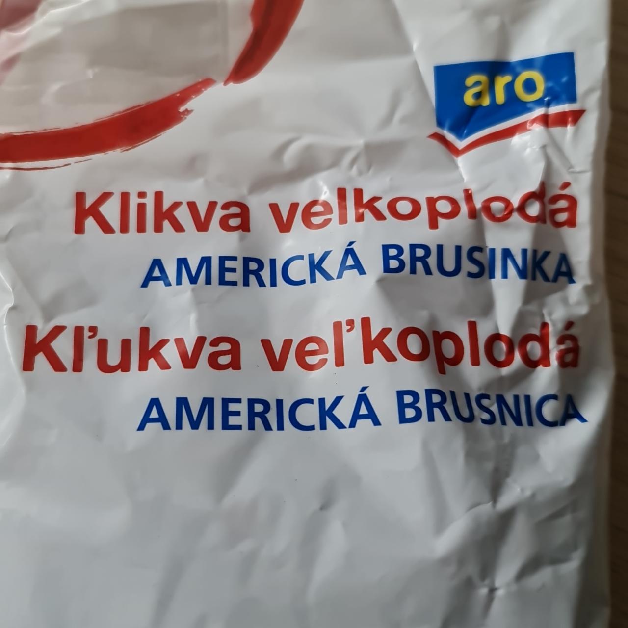 Fotografie - Klika velkoplodá americká brusinka Aro