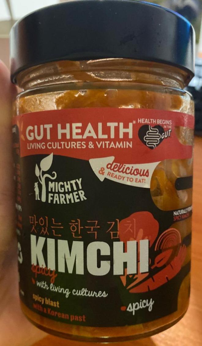 Fotografie - Kimchi Spicy Mighty Farmer