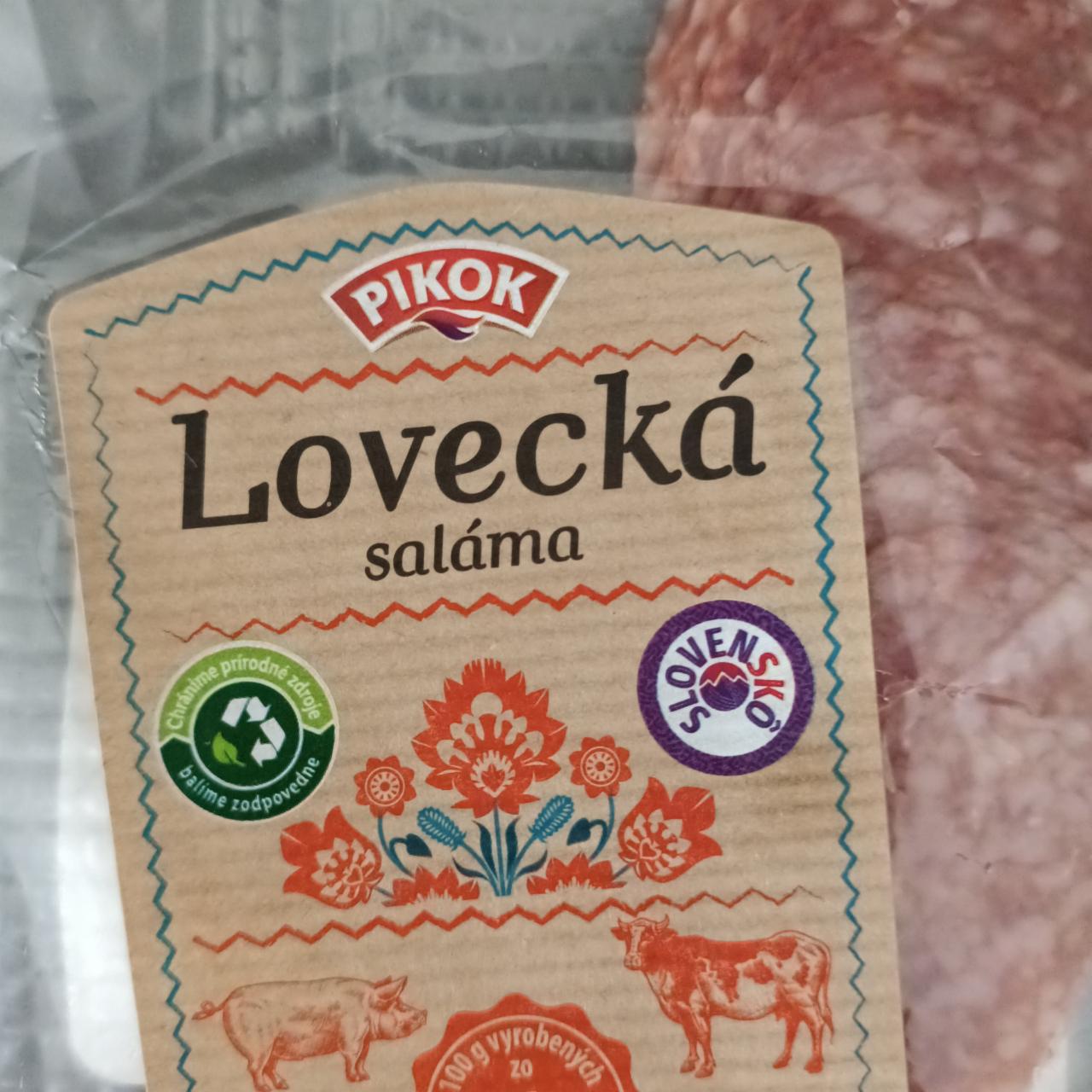 Fotografie - Lovecká saláma Pikok