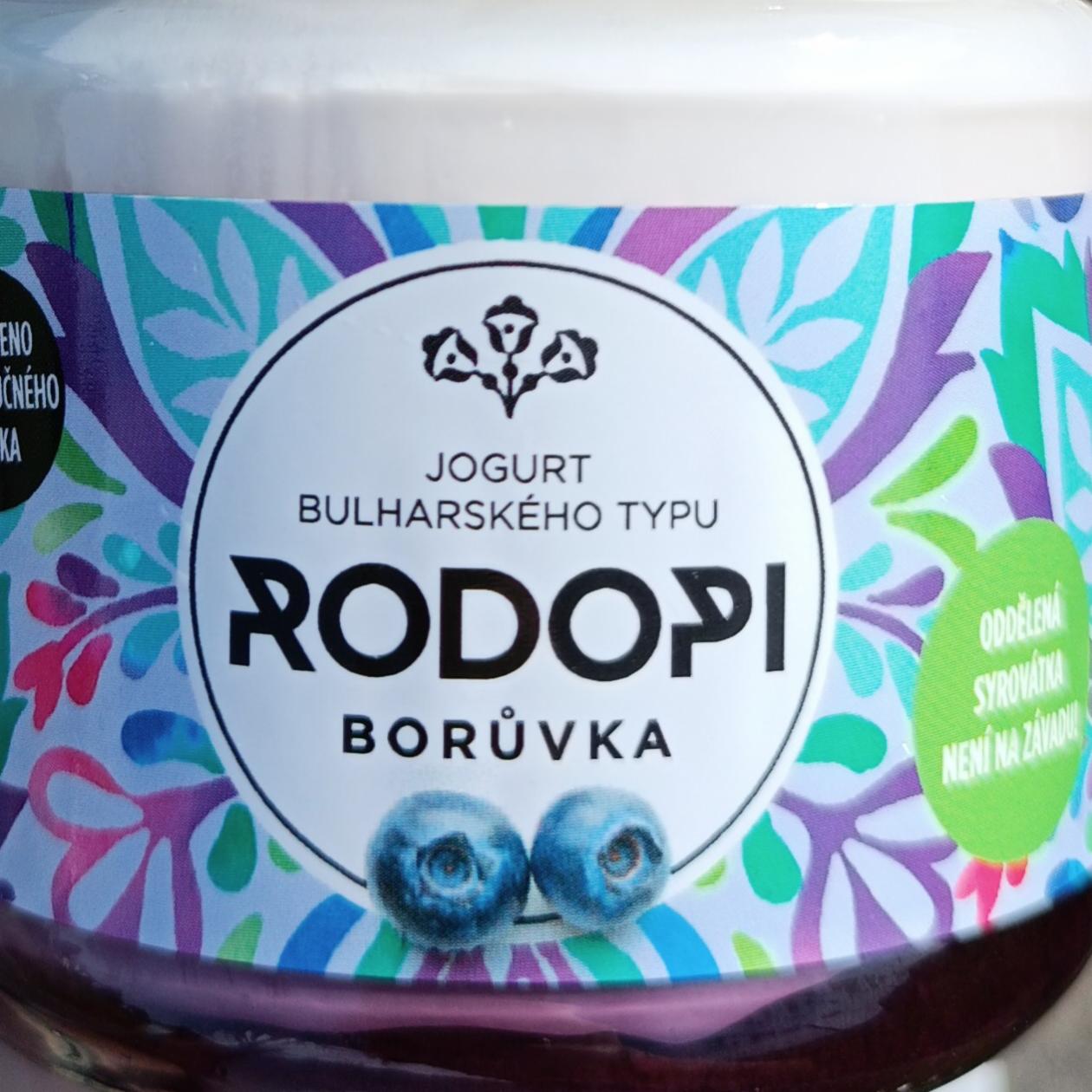 Fotografie - Jogurt bulharského typu borůvka Rodopi