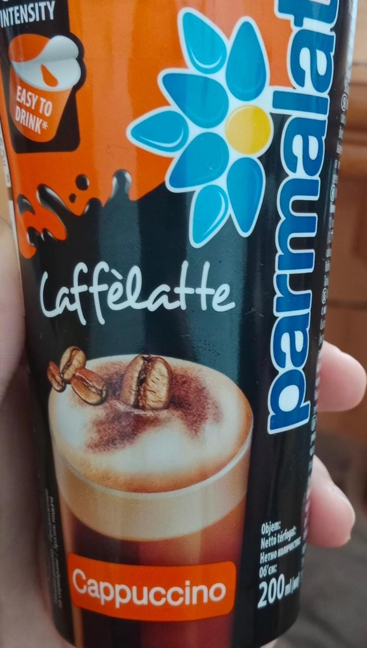 Fotografie - Caffé Latte Cappucinno Parmalat