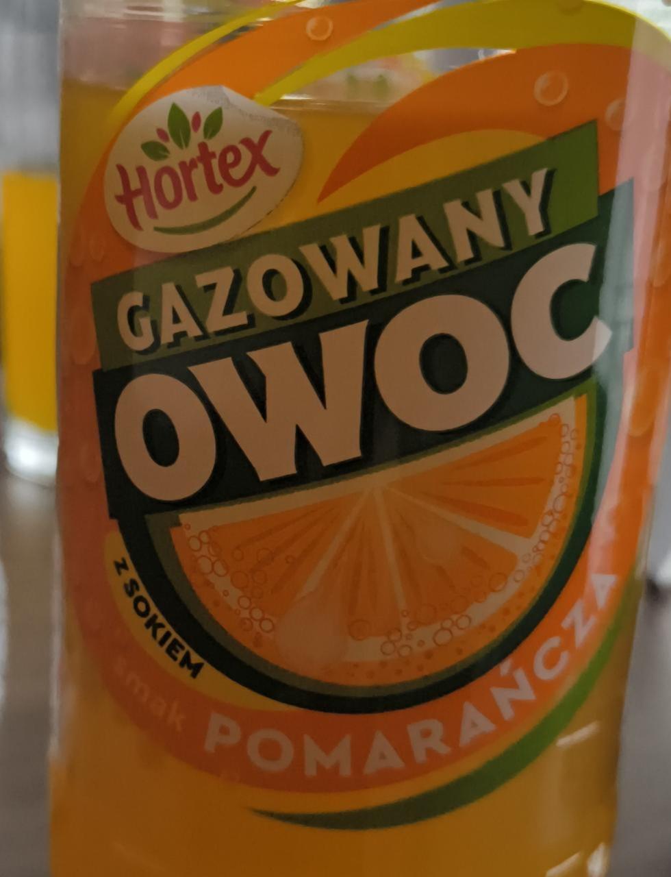 Fotografie - Gazowany owoc z sokiem smak pomarańcza Hortex