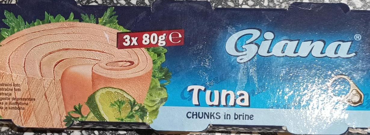 Fotografie - Tuna chunks in brine Giana