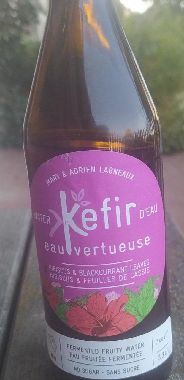 Fotografie - Water kefir hibiscus & blackcurrant leaves Mary & Adrien Lagneaux