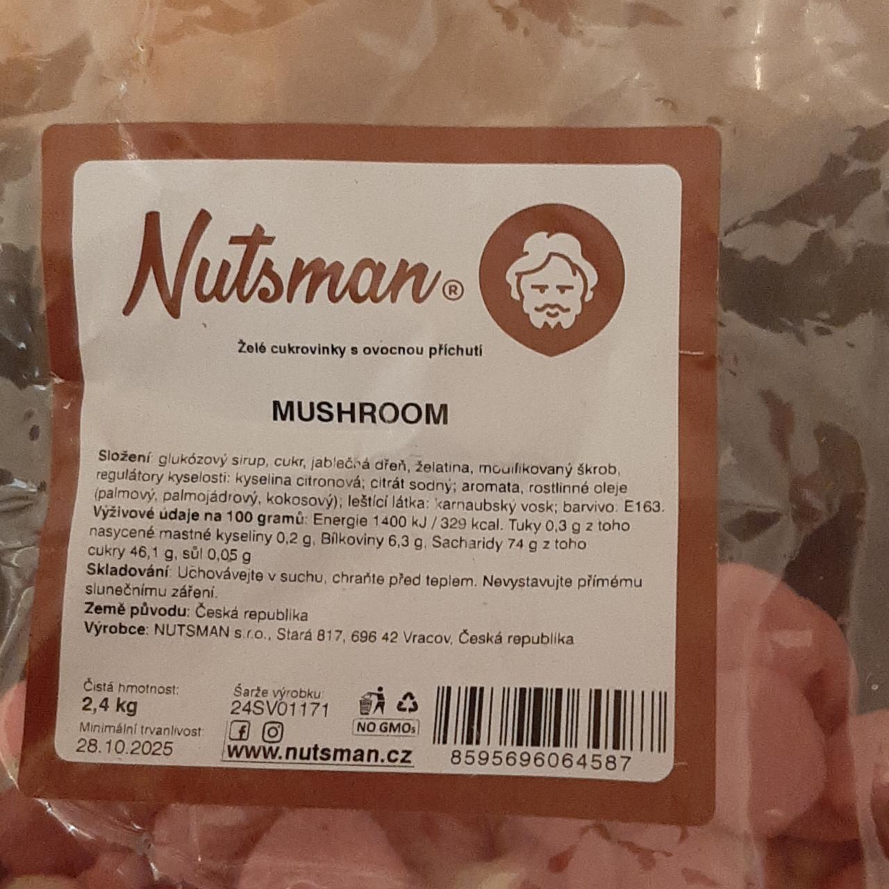 Fotografie - Mushroom Nutsman