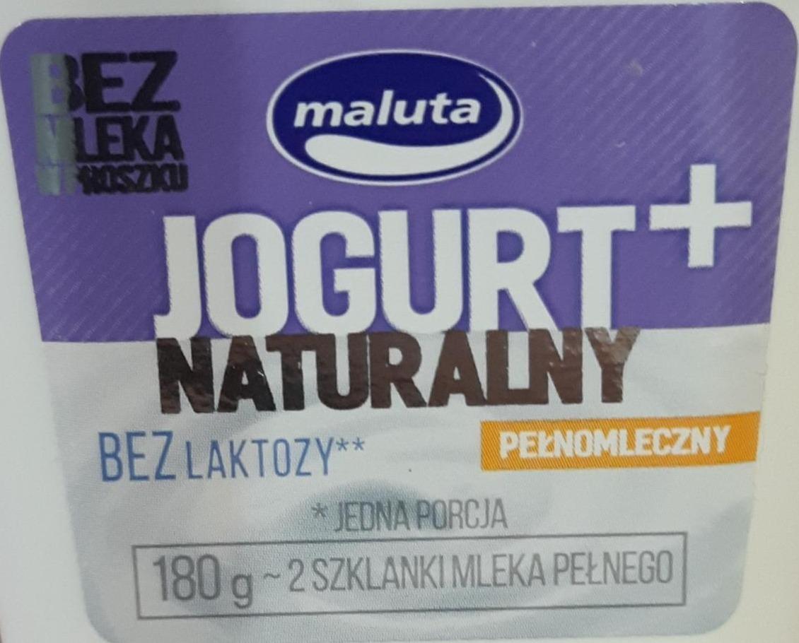 Fotografie - Jogurt naturalny wysokobialkowy bez laktory Maluta