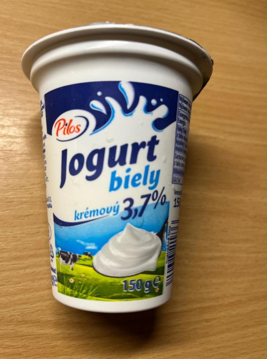 Fotografie - jogurt bílý krémový 3,7% Pilos