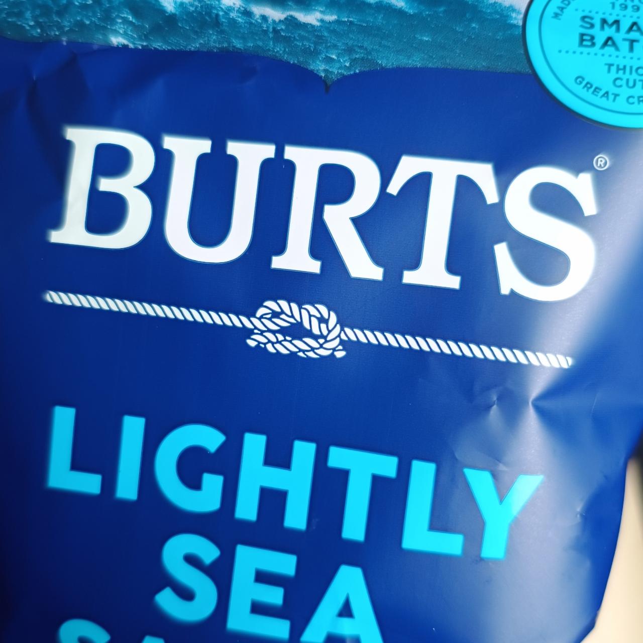 Fotografie - Lightly sea salt Burts