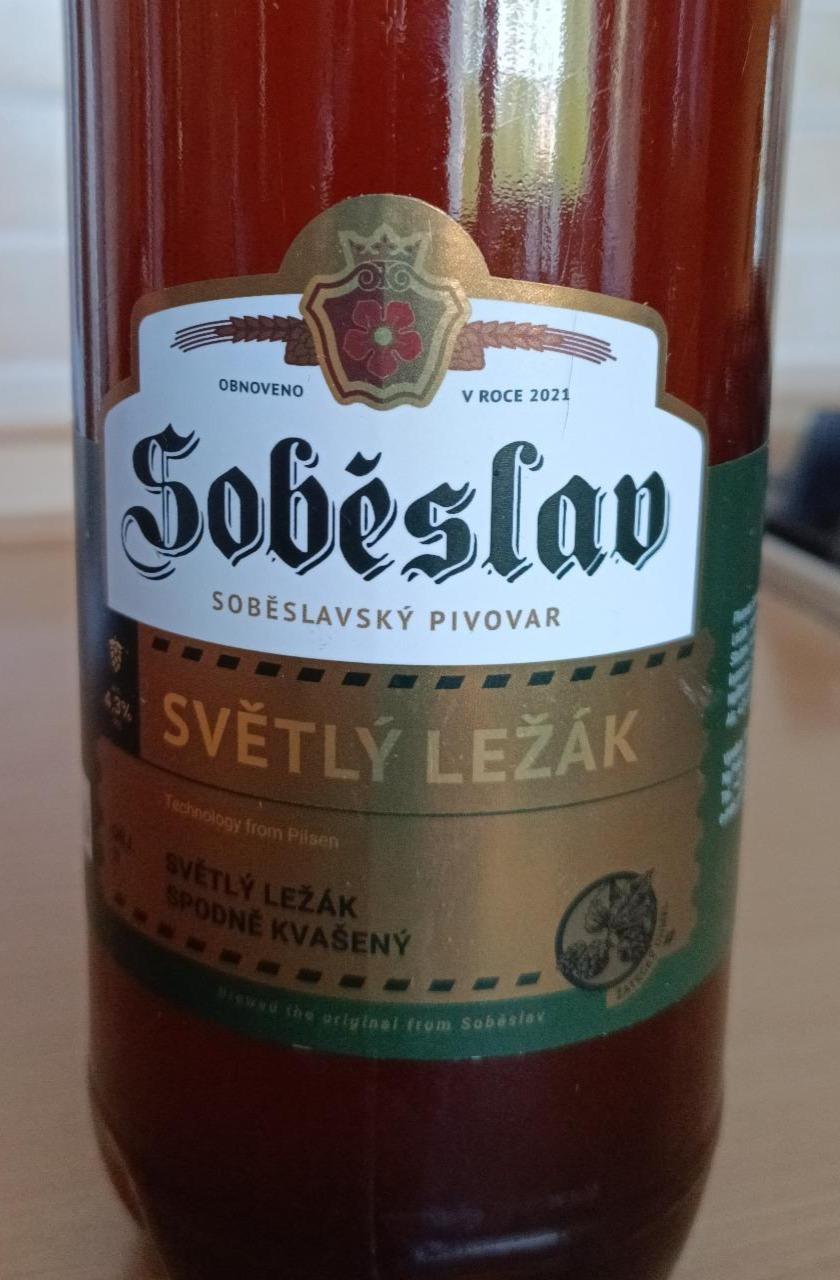 Fotografie - Světlý ležák Soběslav