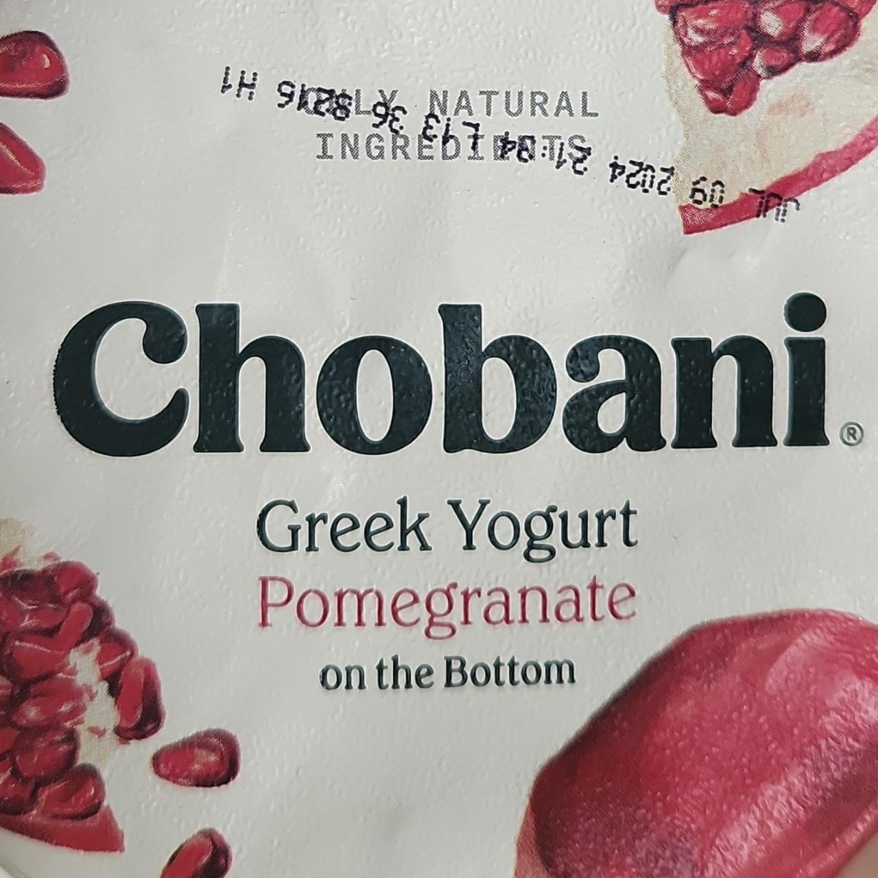 Fotografie - Greek yogurt pomegranate Chobani