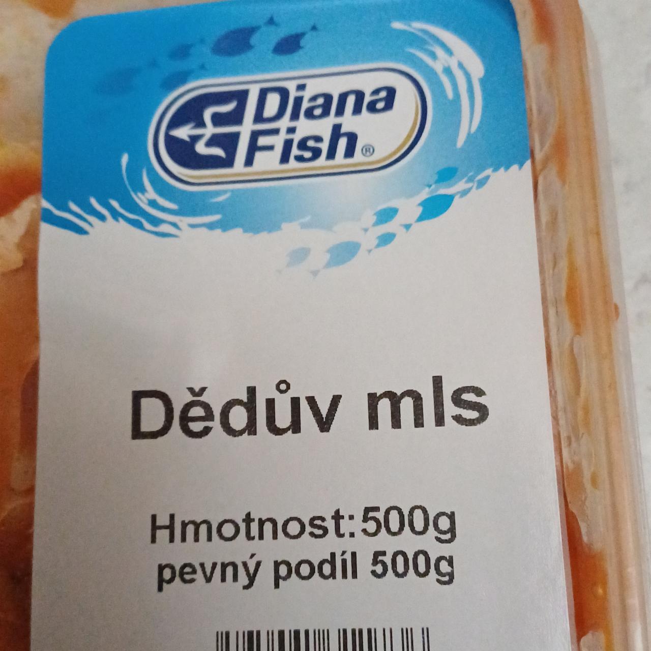 Fotografie - Dědův mls Diana Fish