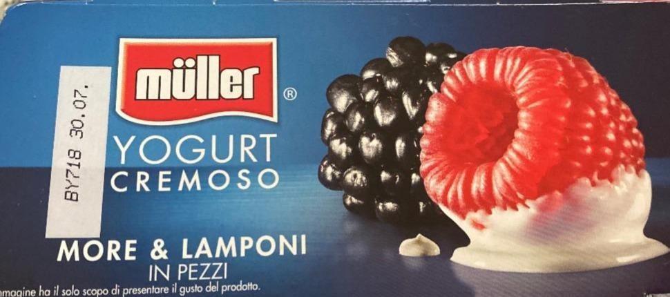 Fotografie - Yogurt cremoso more & lamponi in pezzi Müller