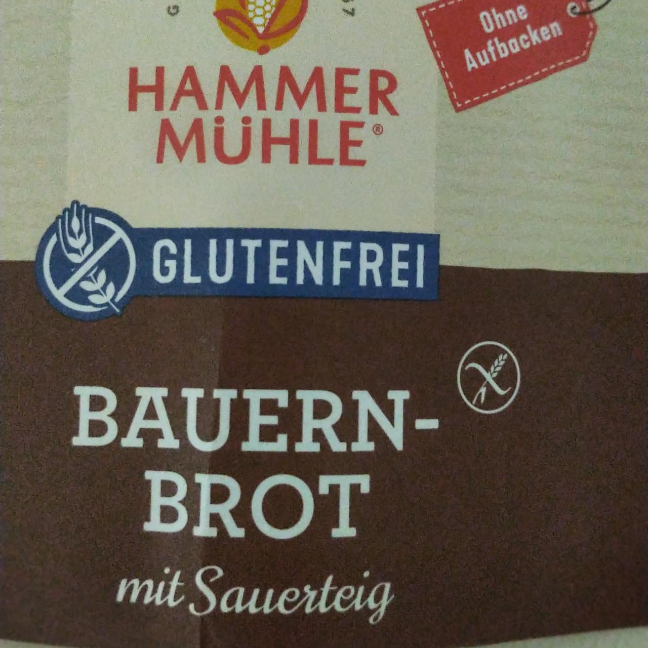 Fotografie - Bauernbrot mit sauerteig Hammer Mühle