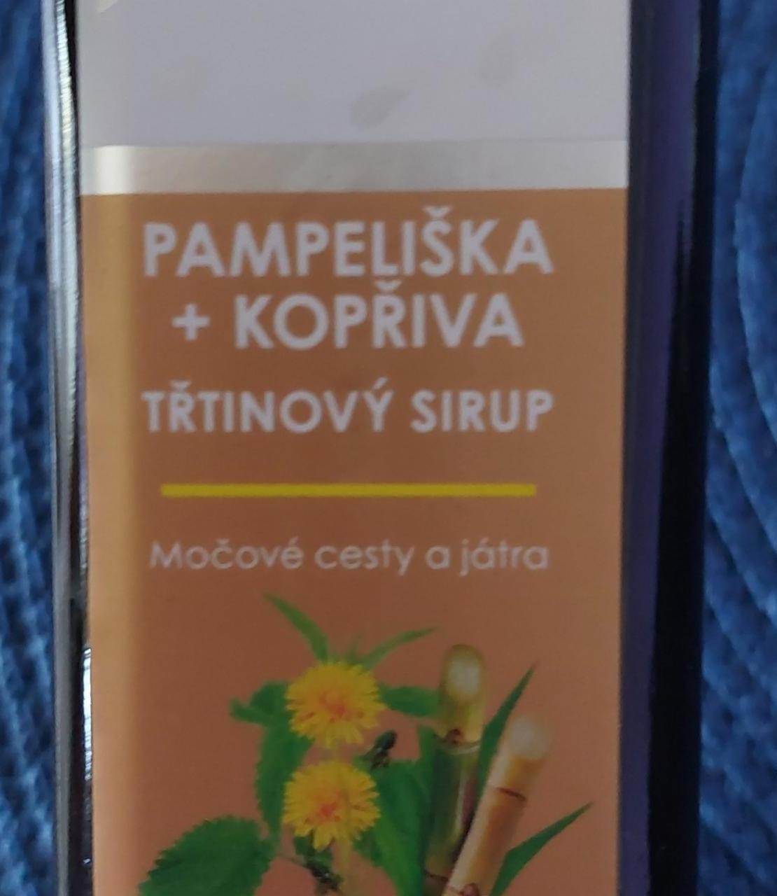 Fotografie - Pampeliška + kopřiva třtinový sirup Green idea